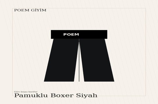 Boxer